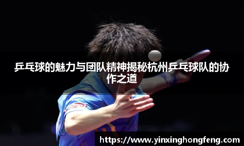 VSport - 胜利因您更精彩