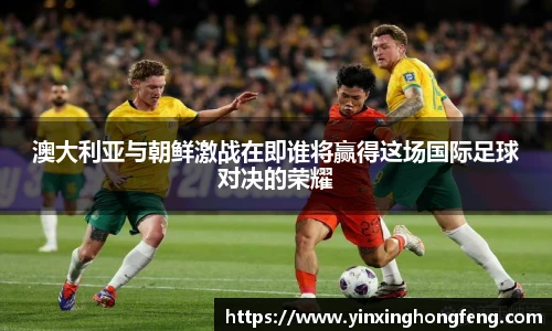 Vsports官网